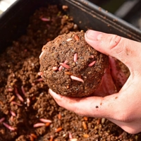 Dynamite Baits Frenzied Hemp Worm Groundbait 900g